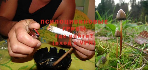 ешки Армянск