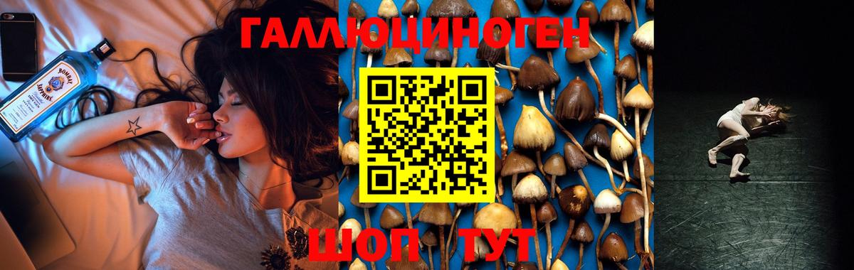 Псилоцибиновые грибы Psilocybe Кирово-Чепецк