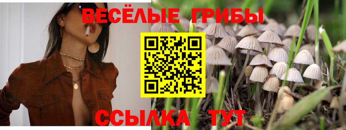 купить закладку  Вход с VPN  Кирово-Чепецк  Псилоцибиновые грибы Magic Shrooms 