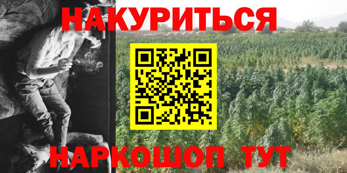 Бошки Шишки White Widow  Бошки Шишки OG Kush  Марихуана сатива  Вход с VPN  Бошки марихуана сатива  Кирово-Чепецк 